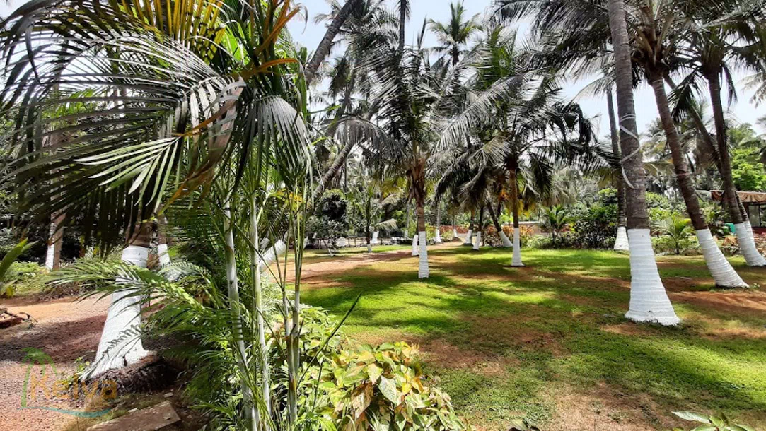 The Palm Orchard Agro Resort