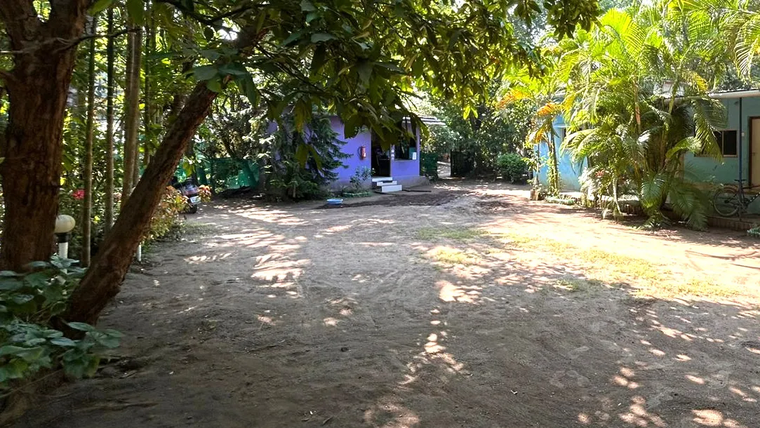 davbindu kelva beach