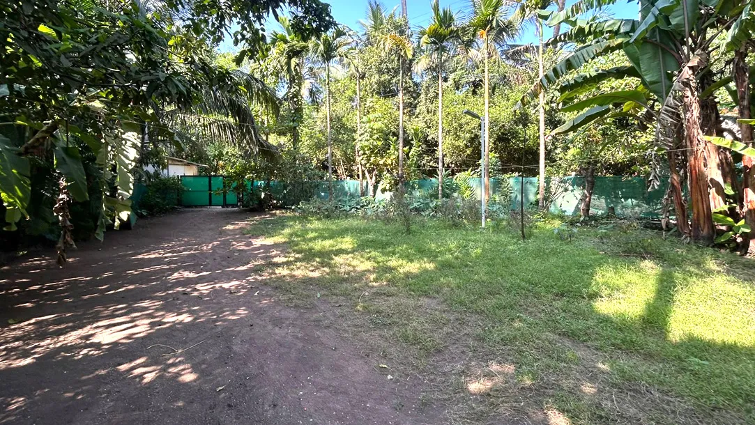 Vishranti Farm House View